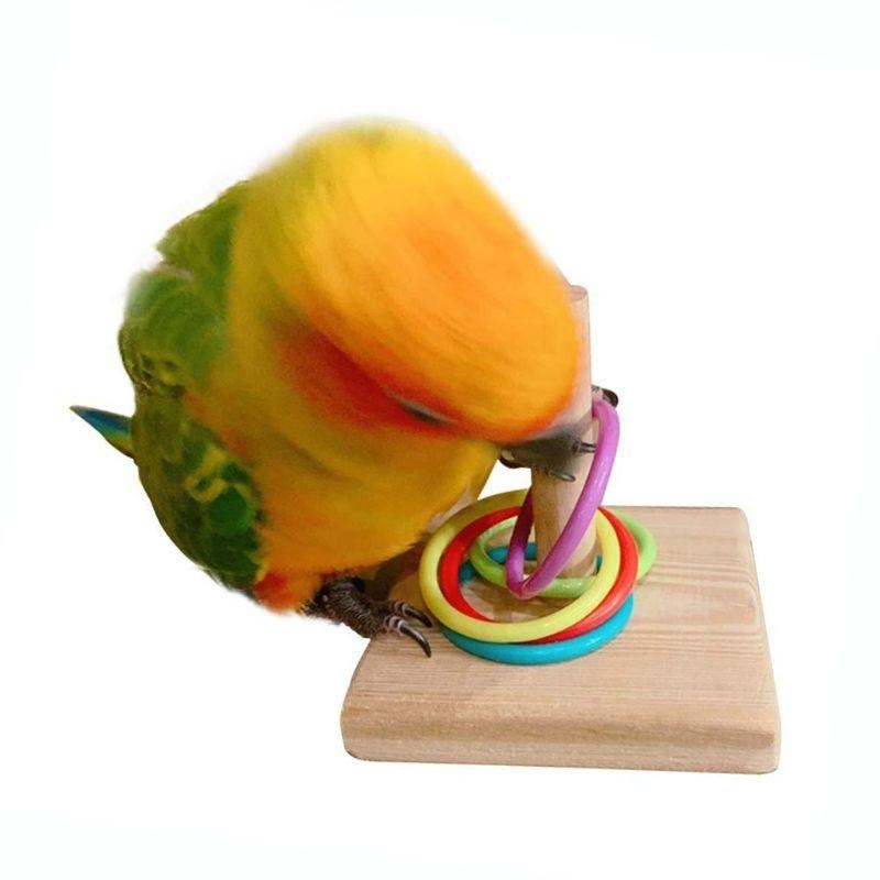 BIRD การฝึกอบรมแหวนของเล่น Par - Gymnastic Ring Wood บทวิจารณ์และราคา